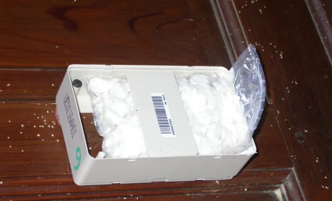 Piège posé à l'intérieur de la maison sur les traces actives du termite (Box)