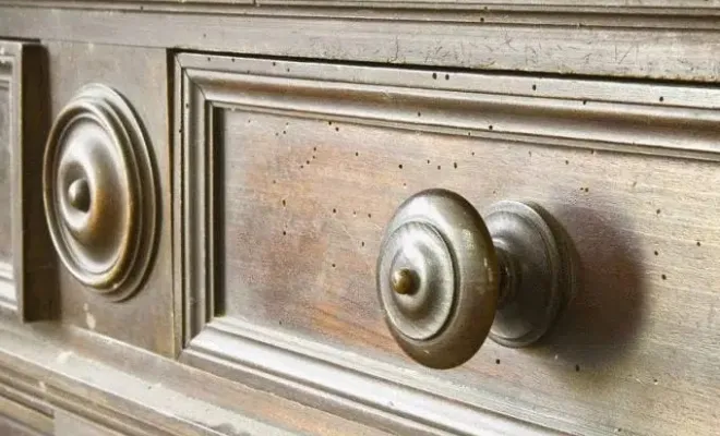 La présence de vrillettes dans un meuble est identifiable grâce à de minuscules trous d’environ 1 à 2 mm de diamètre. Ces trous sont souvent accompagnés de petits amas de sciure