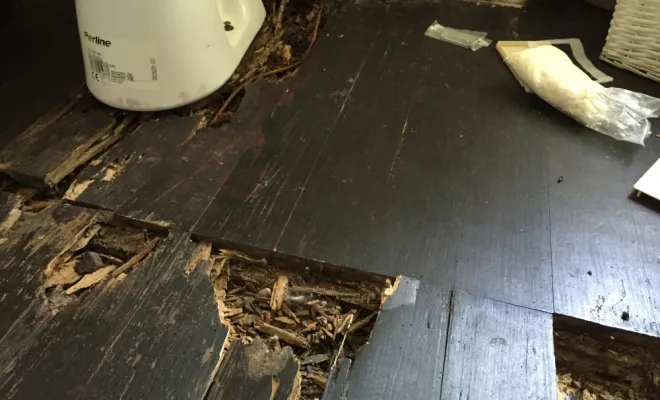 dégâts de termites sur plancher