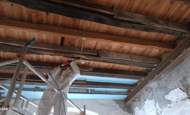 Mise en action du bûchage